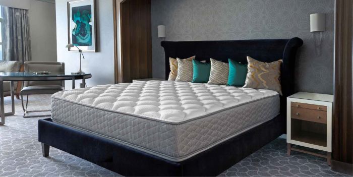 Queen Serta Perfect Sleeper Hotel Sapphire Suite II Plush Double Sided Mattress